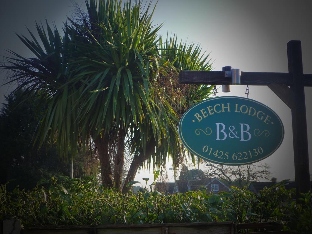 Beech Lodge Guest House 뉴밀튼 외부 사진